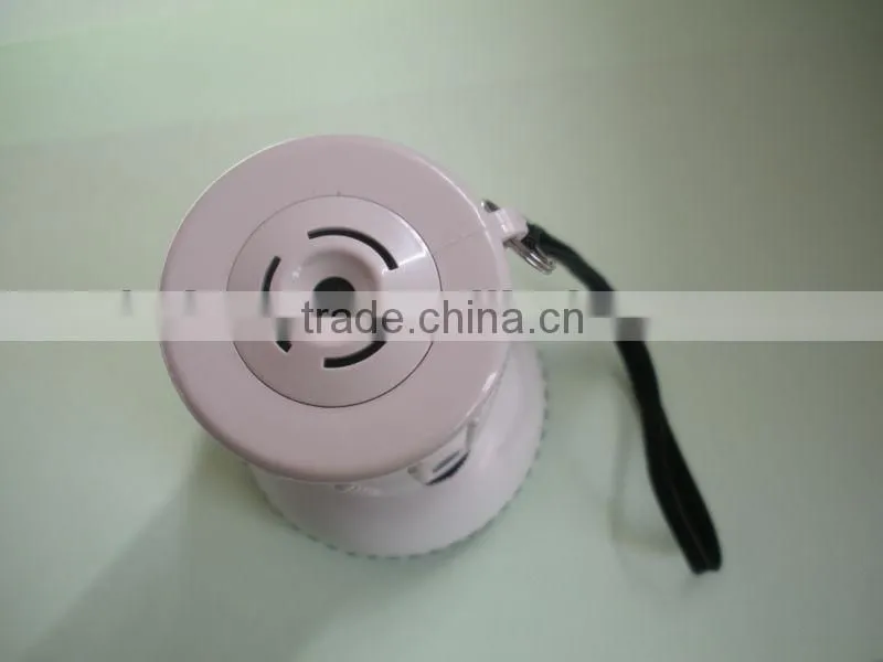 mini megaphone