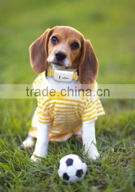 2016 new GPS pets Tracker/gps tracker for persons locator and pets/mini gps tracker
