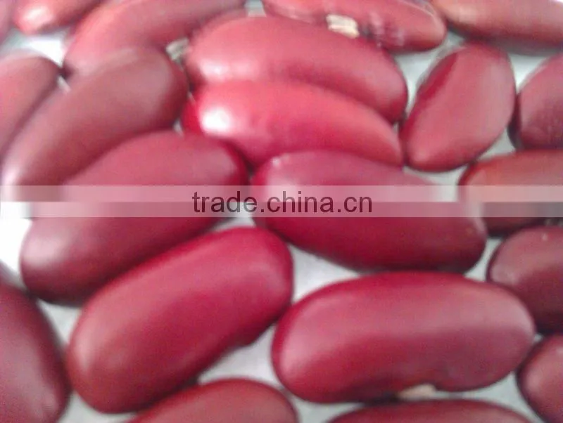 Dark Red Kidney Bean( British type, Heilongjiang origin.hps)