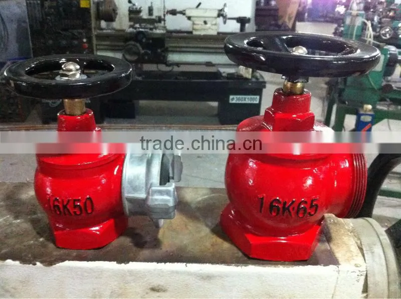 SN 565 indoor fire hydrant
