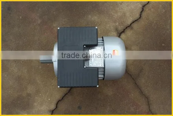 gasoline and electric double buckets cow milking machine