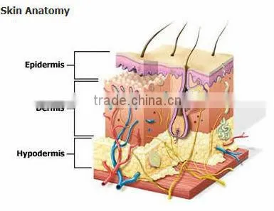 medical 808nm diode laser hair removal machine HS 811 laser hair removal device painless by shanghai apolo medical technology