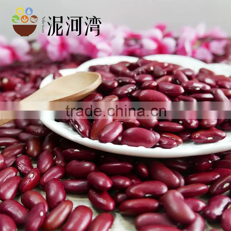 RED DARK KIDNEY BEAN rajma HPS 200-220PCS/100G
