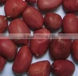 BEST QUALITY PURE FRESH RED PEANUT