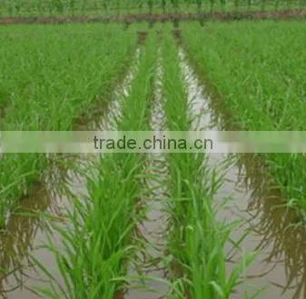 46% Nitrogen in Urea with Best Price