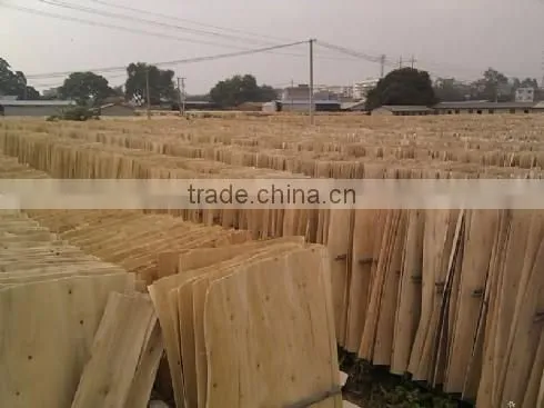 Vietnam Grade A Eucalyptus Core Veneer