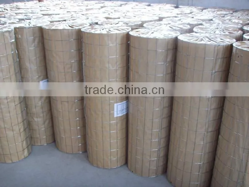 High quality pvc window screening