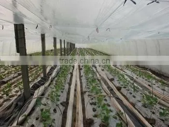 PE agricultural film/PE greenhouse film/PE mulch film