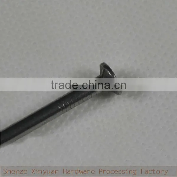 1/2''~7'' polished galvanized common nails factory/concrete nails factory
