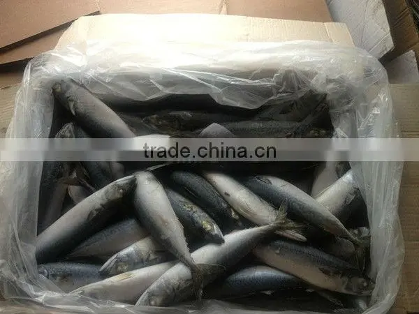 Among meat raw materials processing