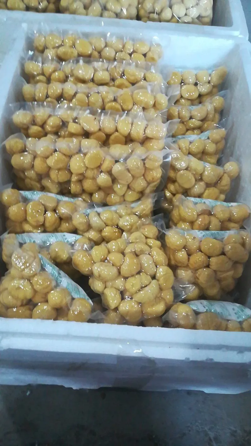 IQF frozen chestnut kernels bulk supplier China