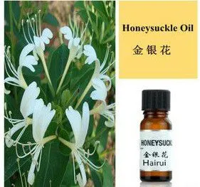 100L - 500L Honeysuckle Plant Flower Leaf Essential Oil Extractor Extraction Machine Essential Oil Distillation Equipment