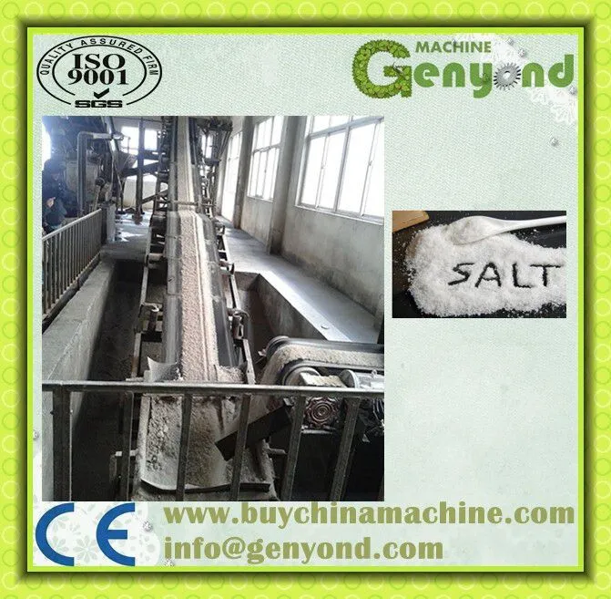 High Quality Salt Production Processing Line Plant Machine for Sale