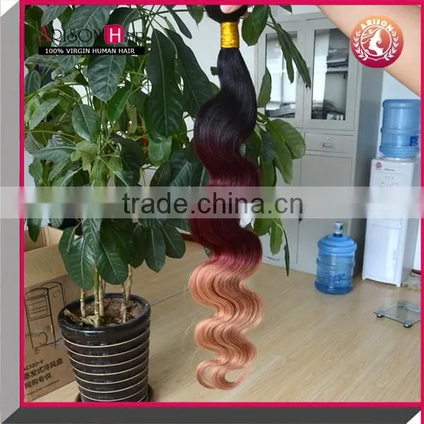 3 Tone Color Ombre Hair Brazilian Virgin Hair Bundles