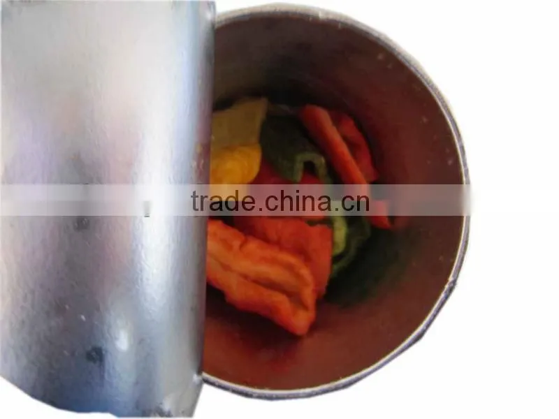 Low Temperature Vacuum Fried Fruit & Vegetable Chips