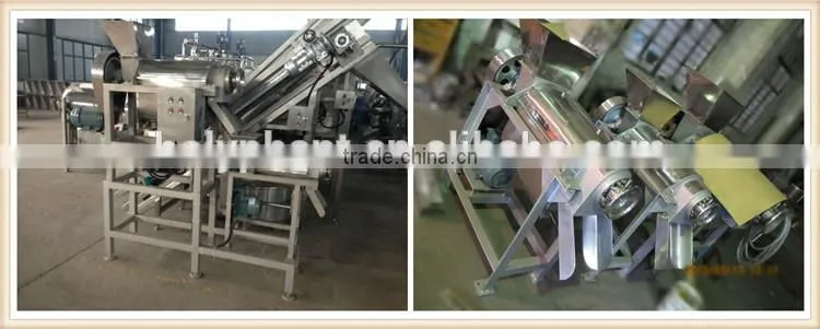 best seller factory vegetable juicer 86-15003847743