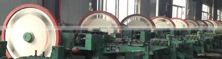 China building material dubai and arabic screw roofing nail with washer