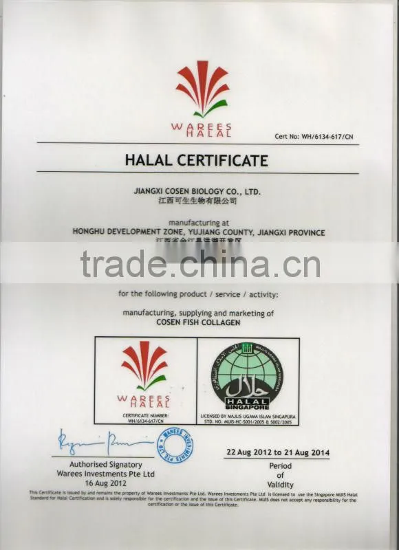 gelatin powder
