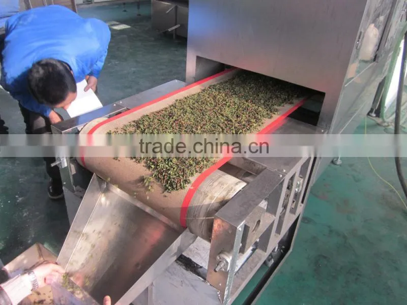 tunnel type industrial micrwave leaves drying sterilizing machine-enzyme inactivate machine