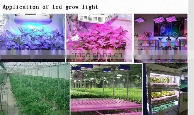 SMD 5050 led plant grow light strip