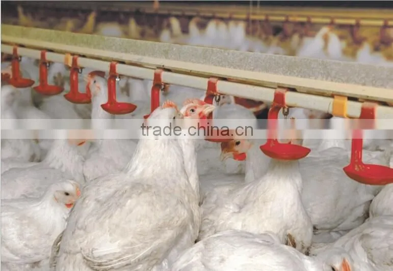 Full-auto Equipment with fan cooling pad for Poultry farm chicken house
