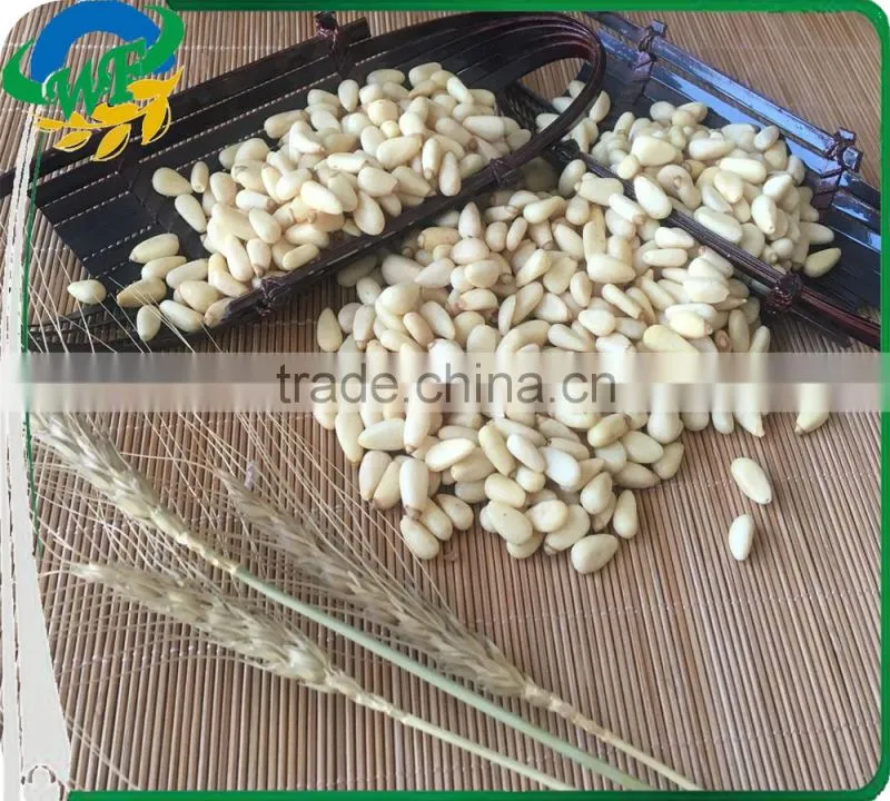 2016 Chinese pine nuts without shell for export