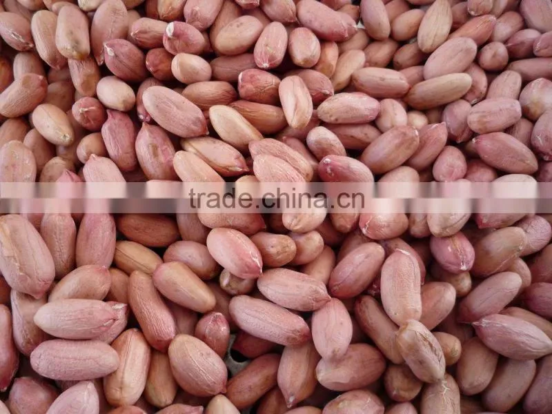 china fried and salted peanut