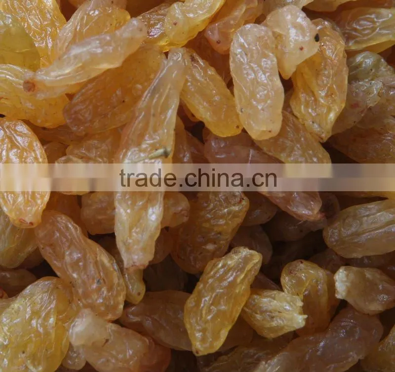 light yellow raisin
