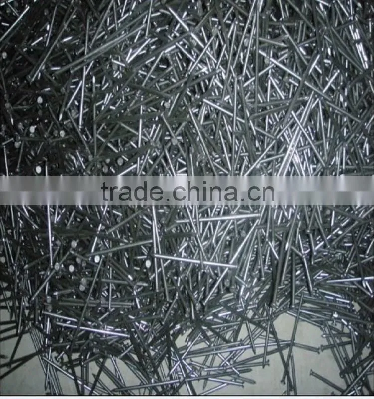 common nail/ common wire nail/common iron nails