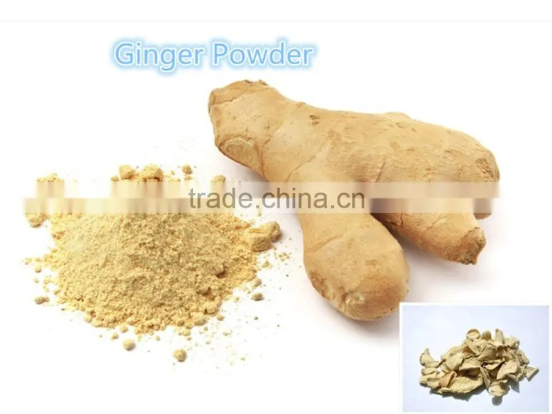 High Quality Ginger Extracg Powder Low Price Ginger Powder (water soluble)