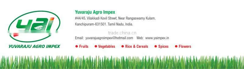 Wheat Flour Supplier in India