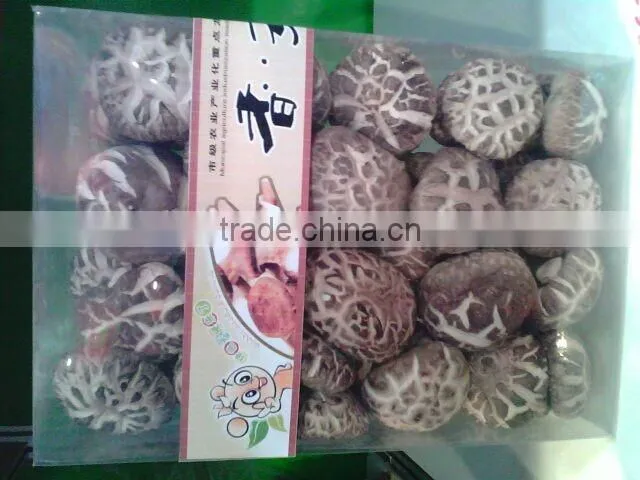 dried mushroom,flower mushroom,dried brown and white flower mushroom
