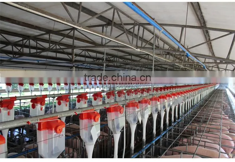 Automatic pig feeding system for fattening pig