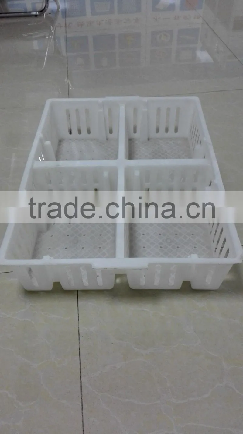 plastic chicken tranport stackable cage/box/crate for child chicken