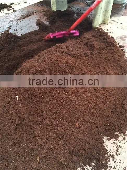 Malaysia cocopeat dryer/ coir fibre drying machine with best price