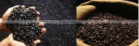 China Manufacturer Special Intelligent Image processing system Coca and Coffee Beans color sorting machinery