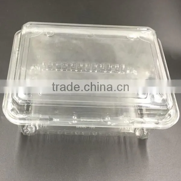 Blister large clear plastic fruit container with lid for fruit packaging
