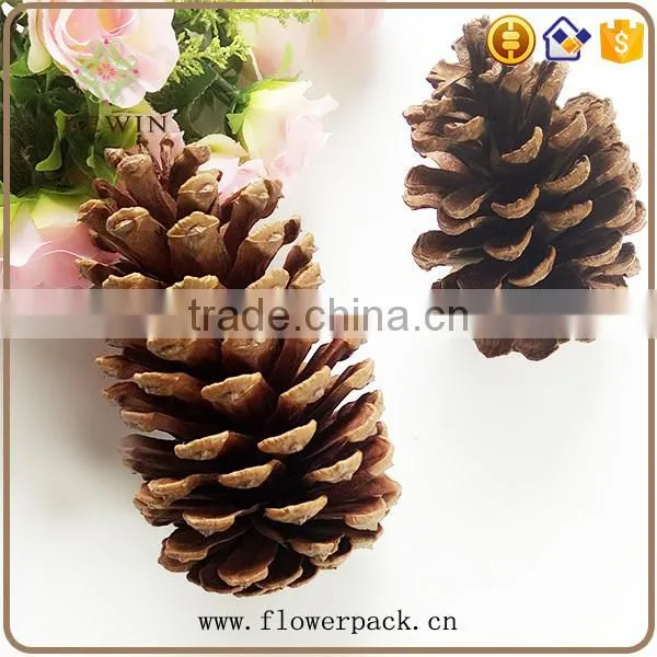 Pine nuts series of natural flowered bark engraving