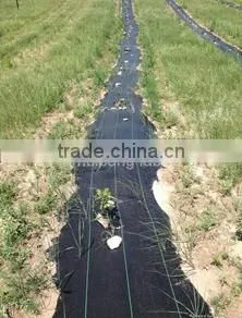 6' x 300' Woven Black Groundcover Fabric