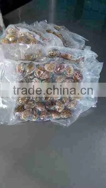DELICIOUS FROZEN VACCUM BOILED SHORT NECKED CLAM