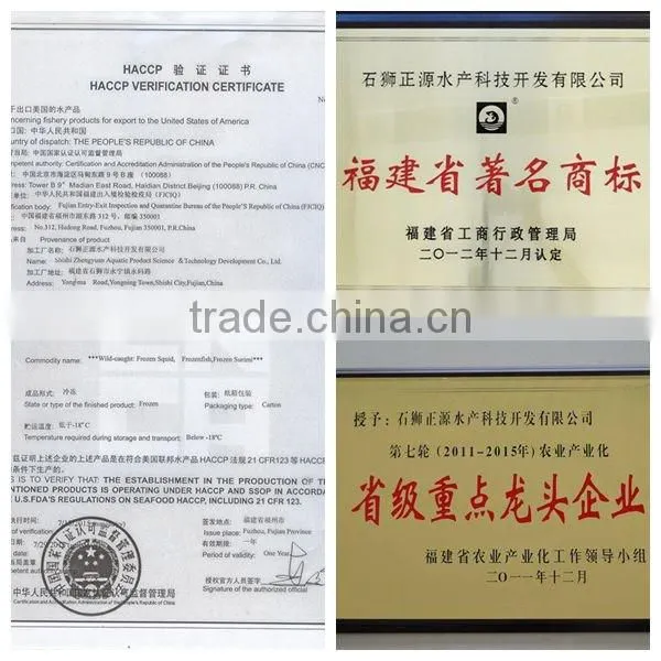 Zhengyuan Frozen Illex Squid Tube