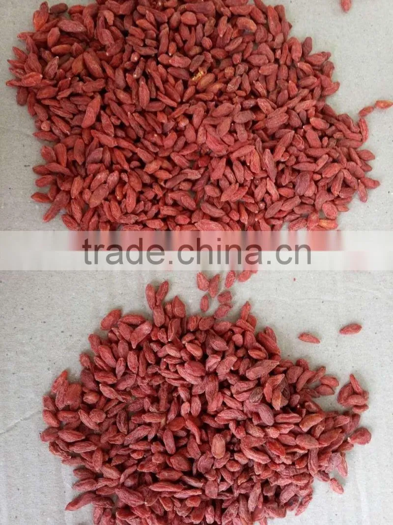2016 new natural Goji berry/ wolf berry/gouqi