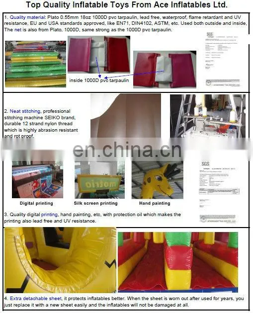 hot sale dolphin theme inflatable combo