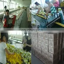 Yiwu Bobao Stationery Co., Ltd. company overview - view 3