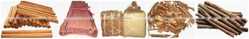 2-3 Cassia(Cinnamon) stick