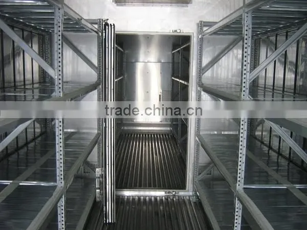 Dual Zone 20ft foot Reefer Chiller Container with Side Door