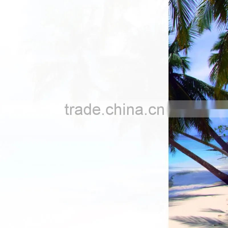 static window film,removable static cling window film