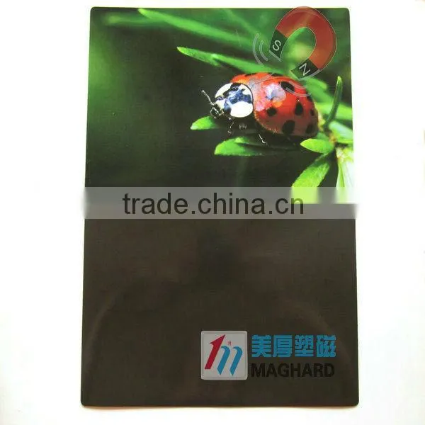 decorations magnet flat tourist insect fridge magnet