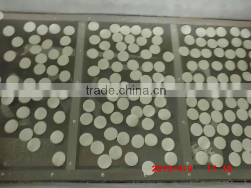 rice chips produce extruder