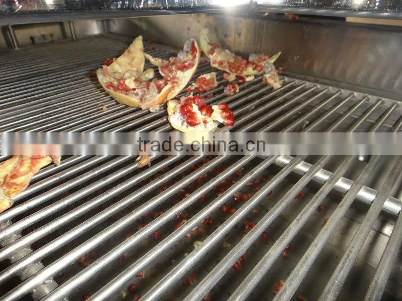 Pomegranate arils processing machine
